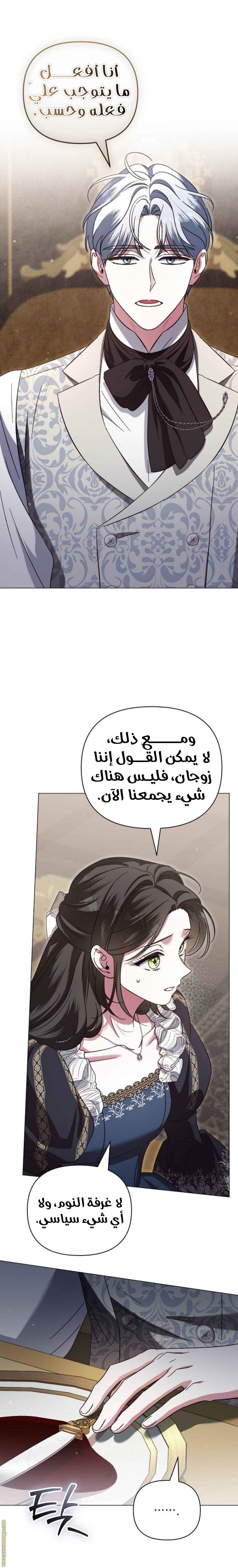 الصفحة 15