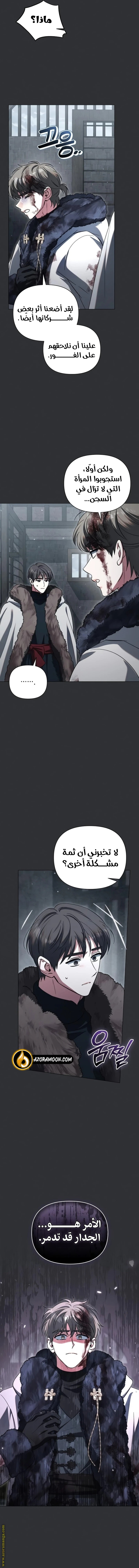 الصفحة 13