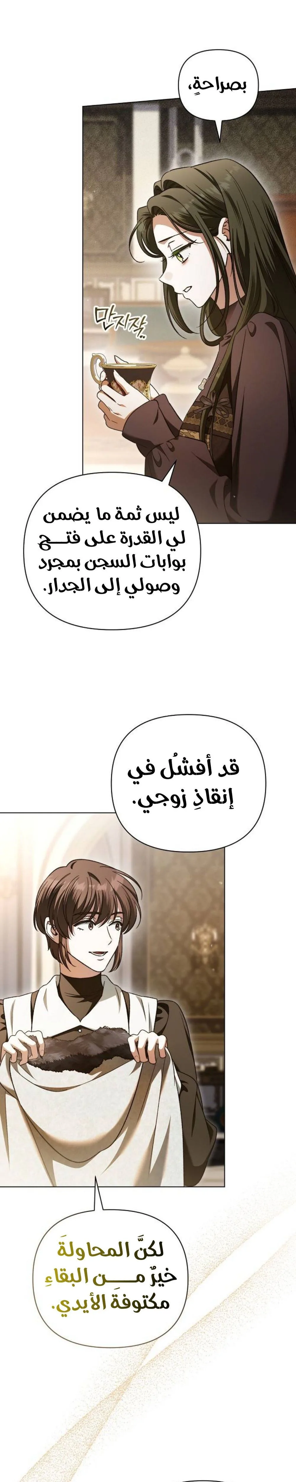 الصفحة 13