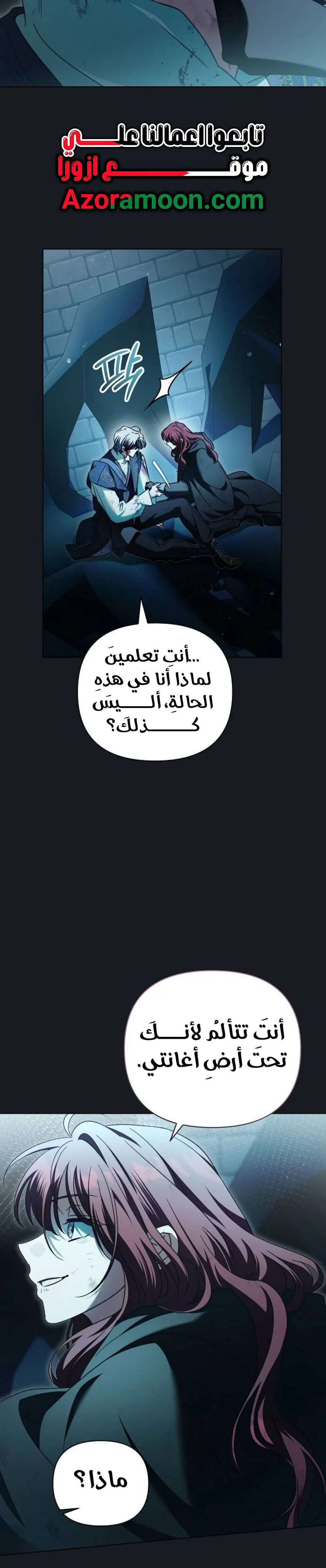 الصفحة 29