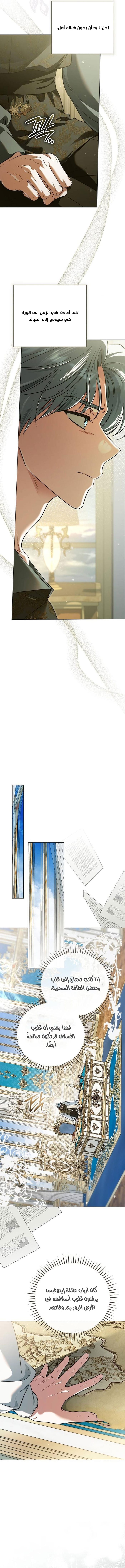 الصفحة 2