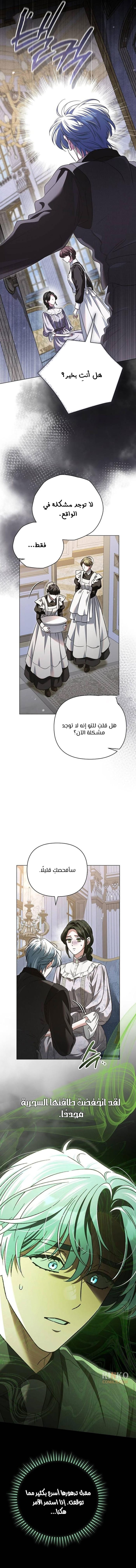 الصفحة 13