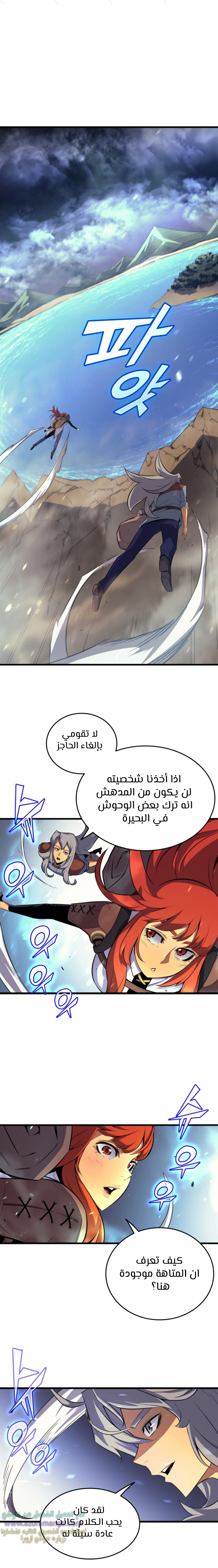 الصفحة 13