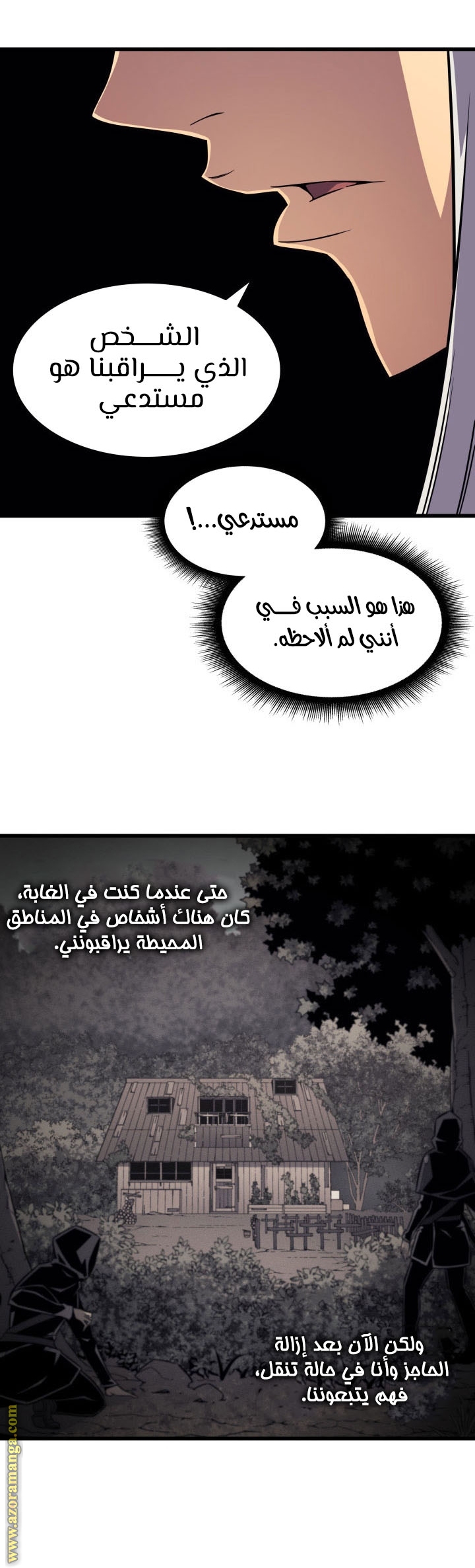 الصفحة 29