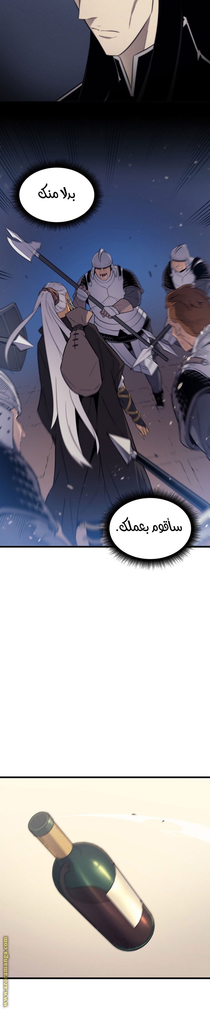 الصفحة 17