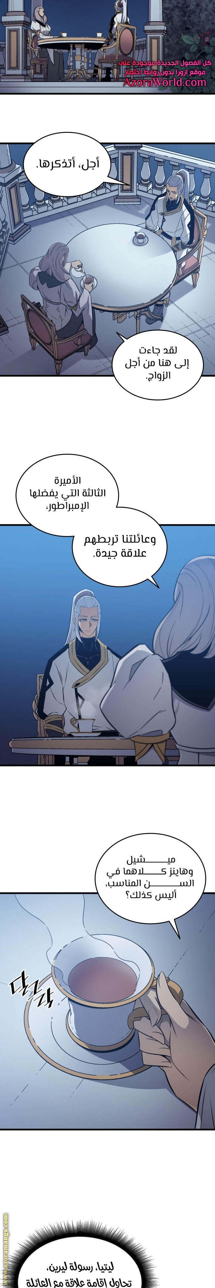 الصفحة 17