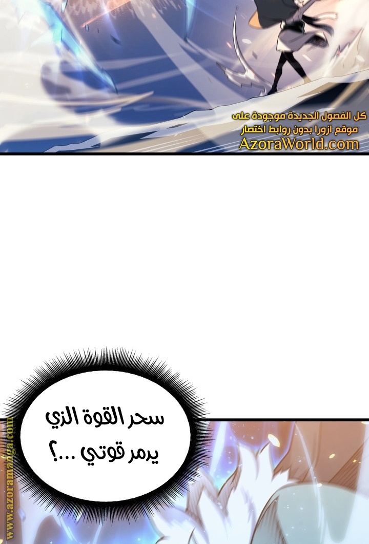 الصفحة 29