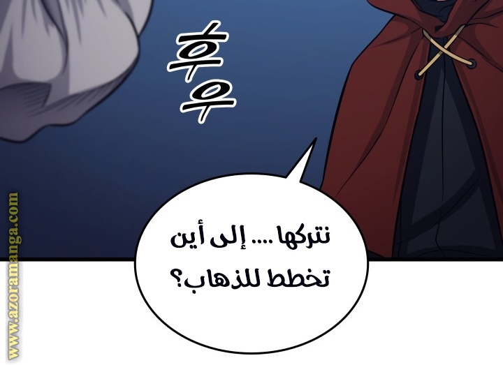 الصفحة 29