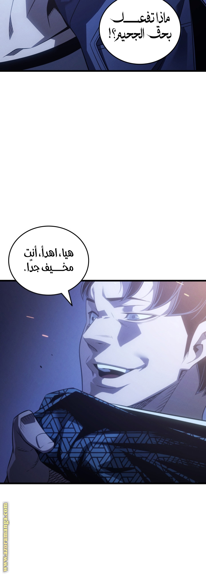 الصفحة 46