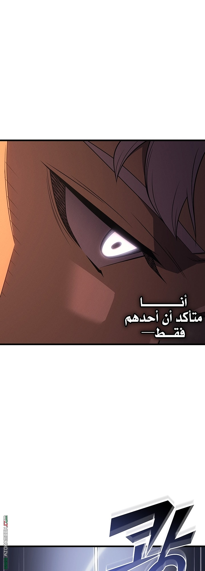 الصفحة 29