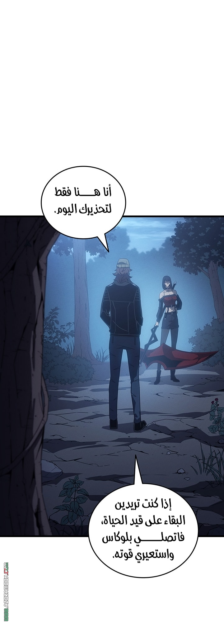 الصفحة 13
