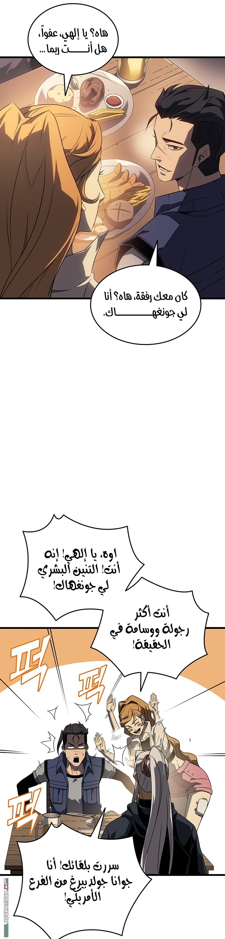 الصفحة 13