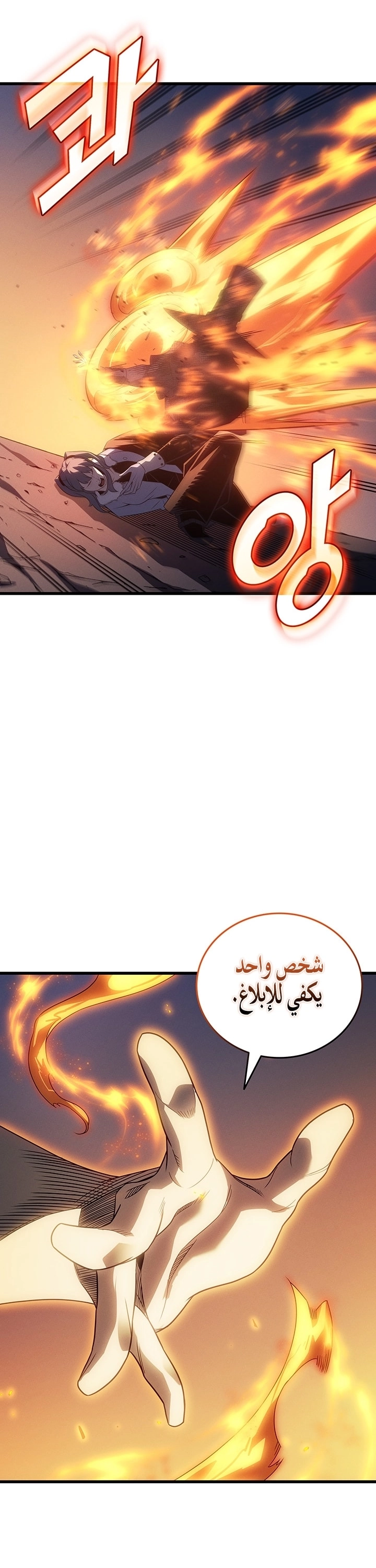 الصفحة 25