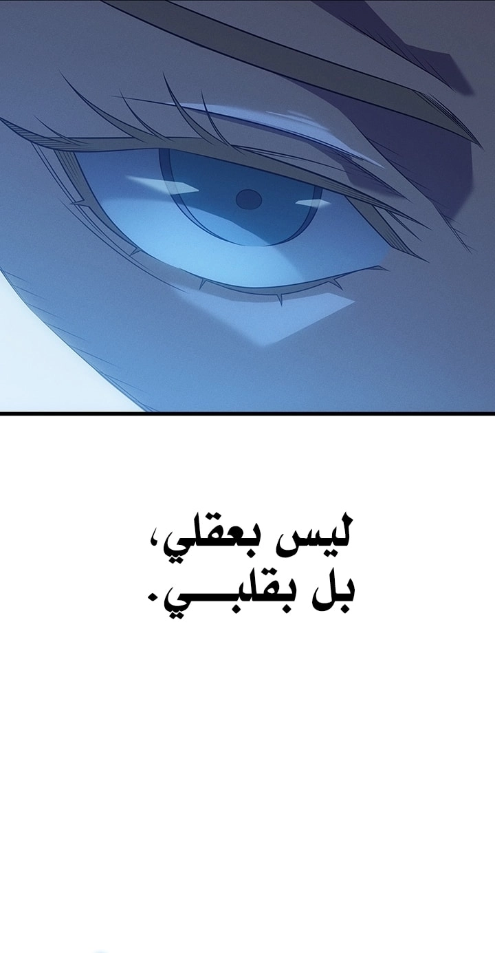 الصفحة 29