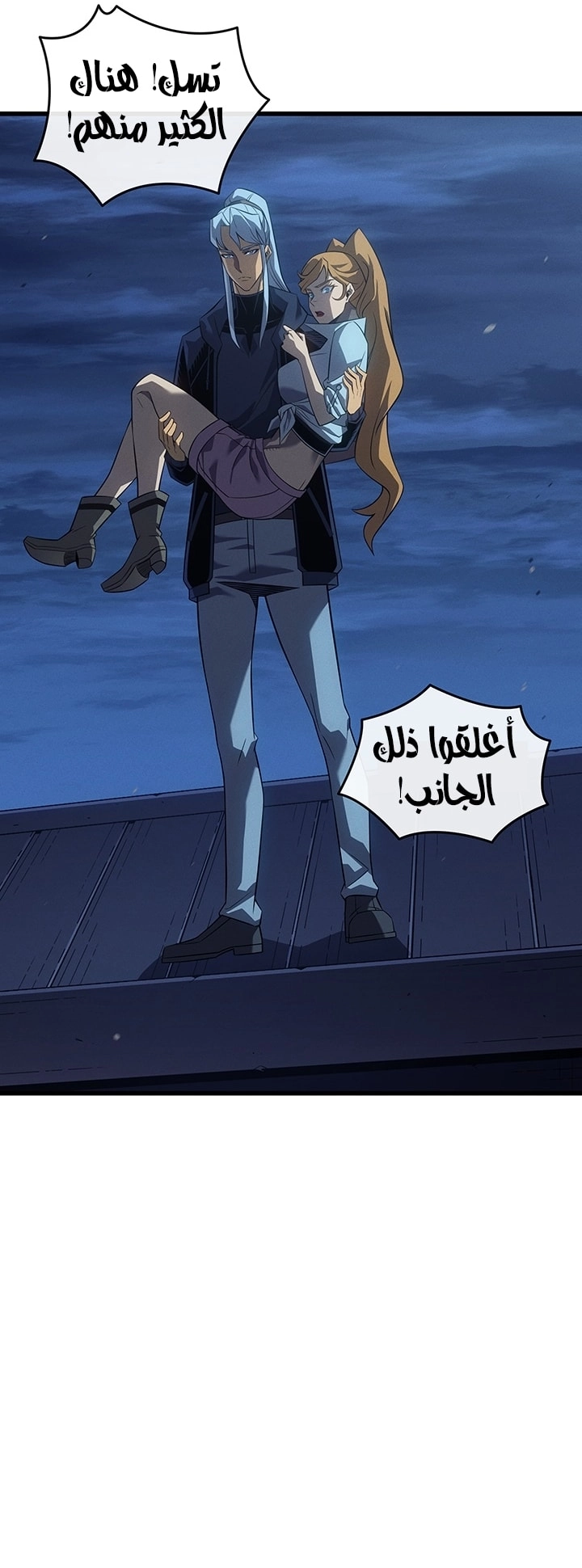 الصفحة 29