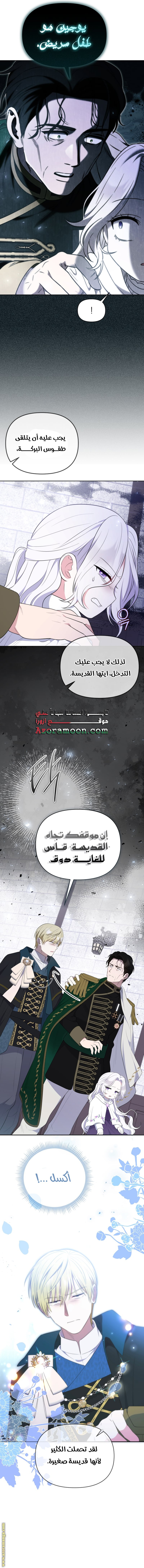 الصفحة 13