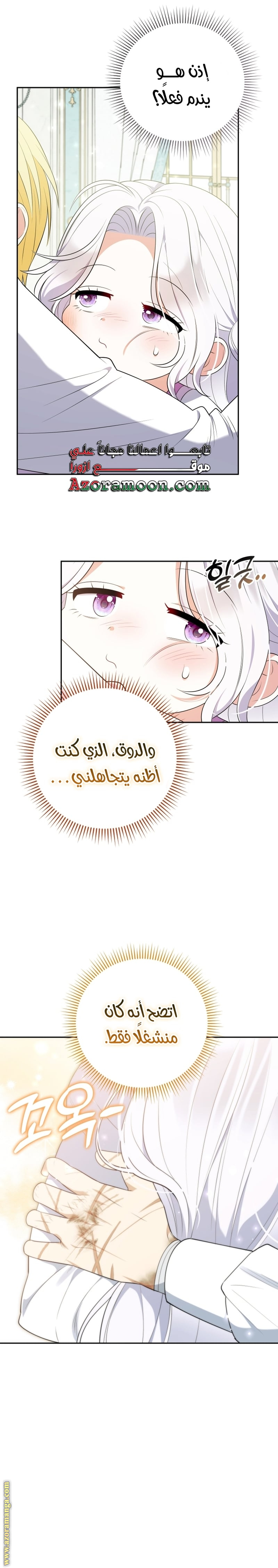 الصفحة 25
