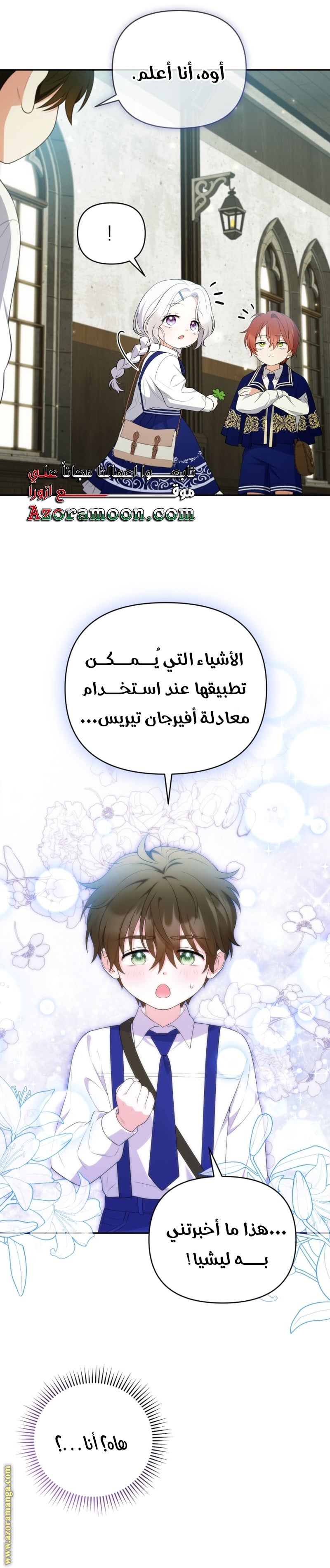 الصفحة 43