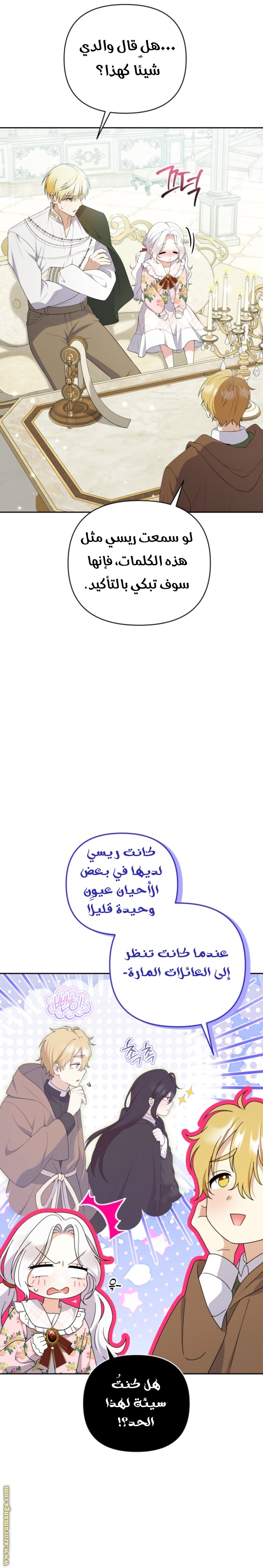 الصفحة 17