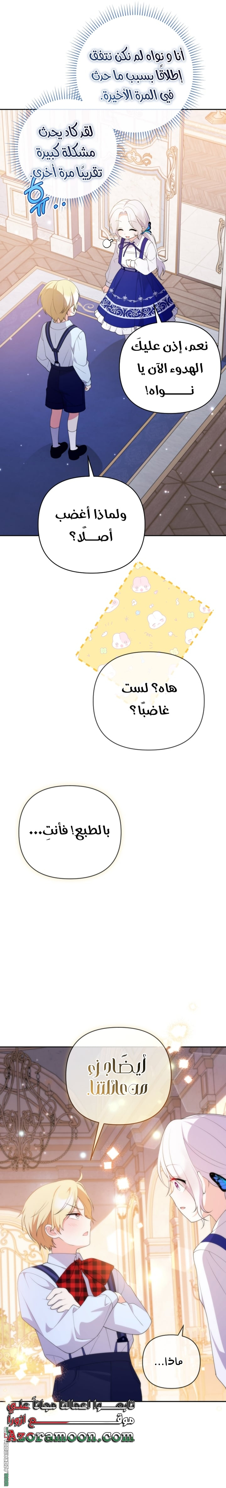 الصفحة 17