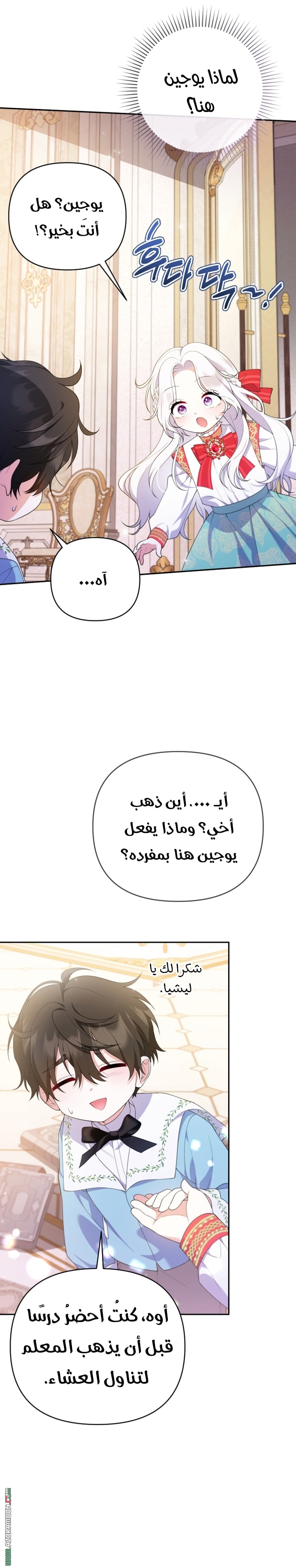 الصفحة 11