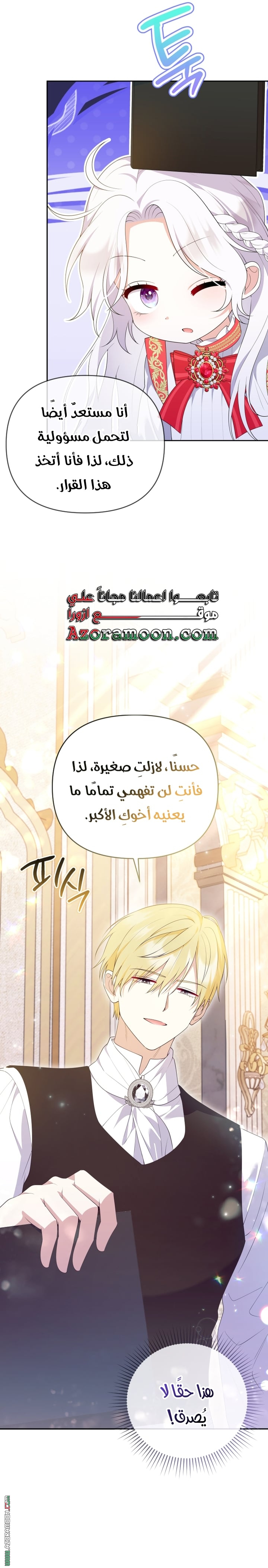 الصفحة 17