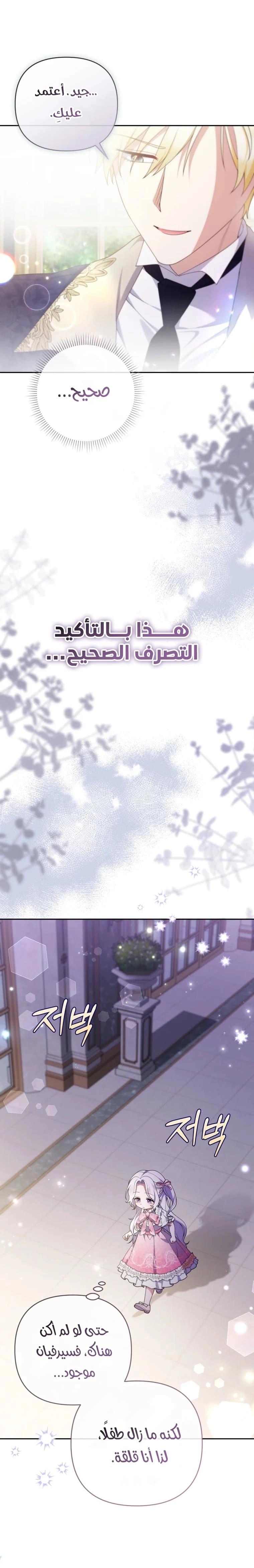 الصفحة 26