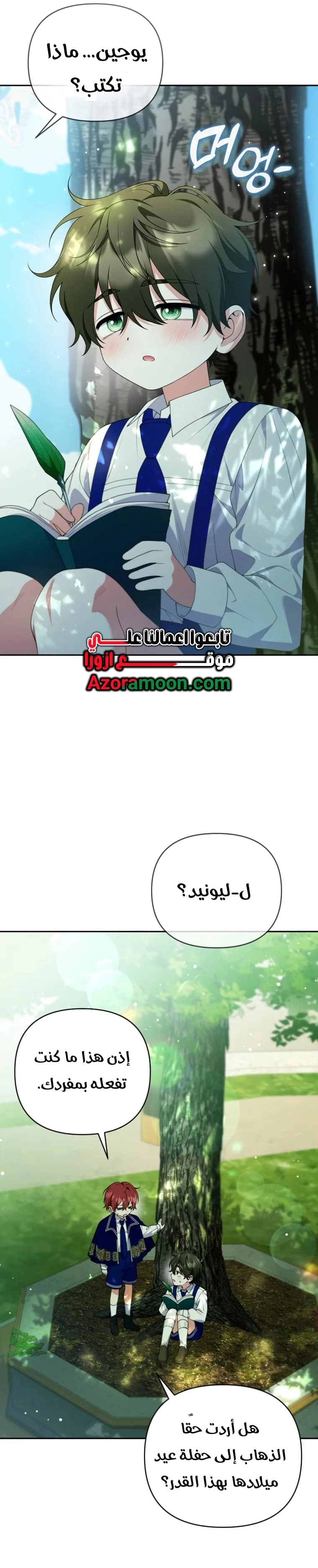 الصفحة 17