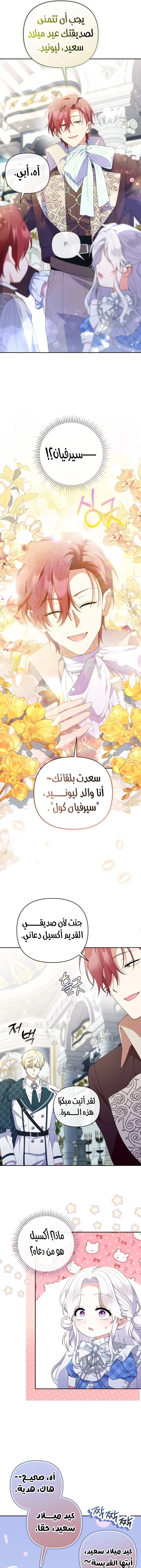 الصفحة 17