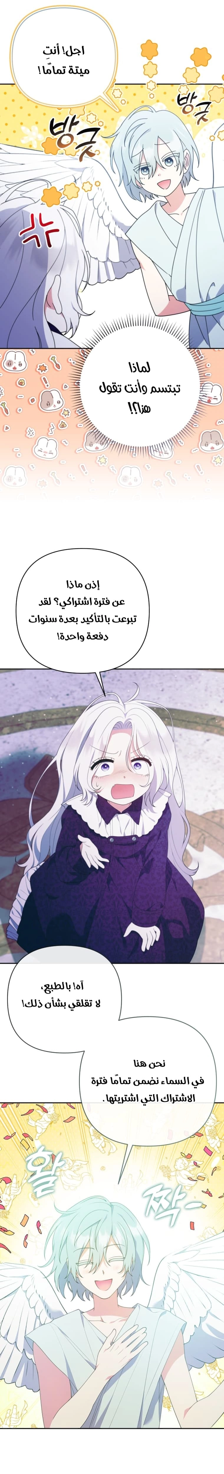 الصفحة 23