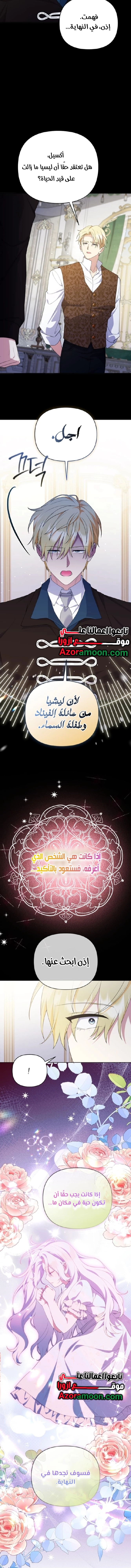 الصفحة 13