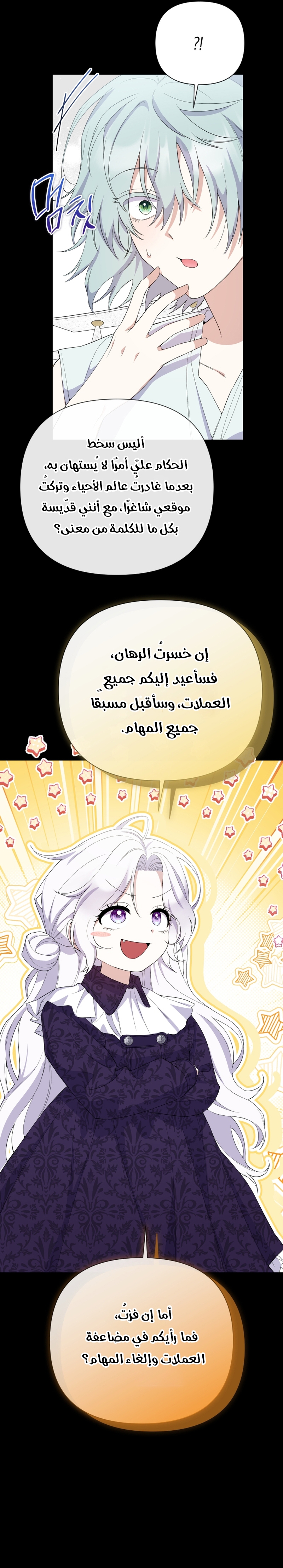 الصفحة 25