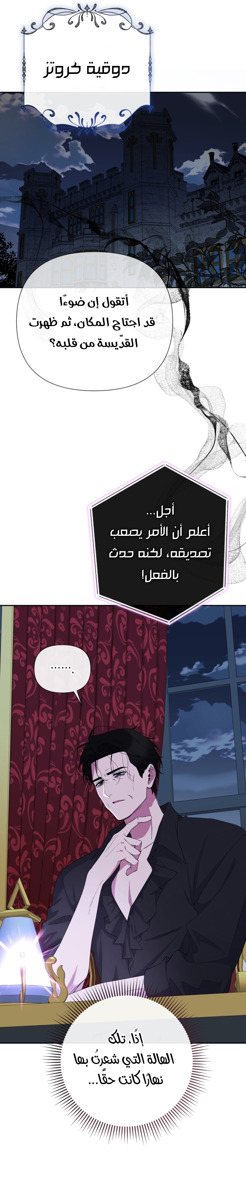 الصفحة 31
