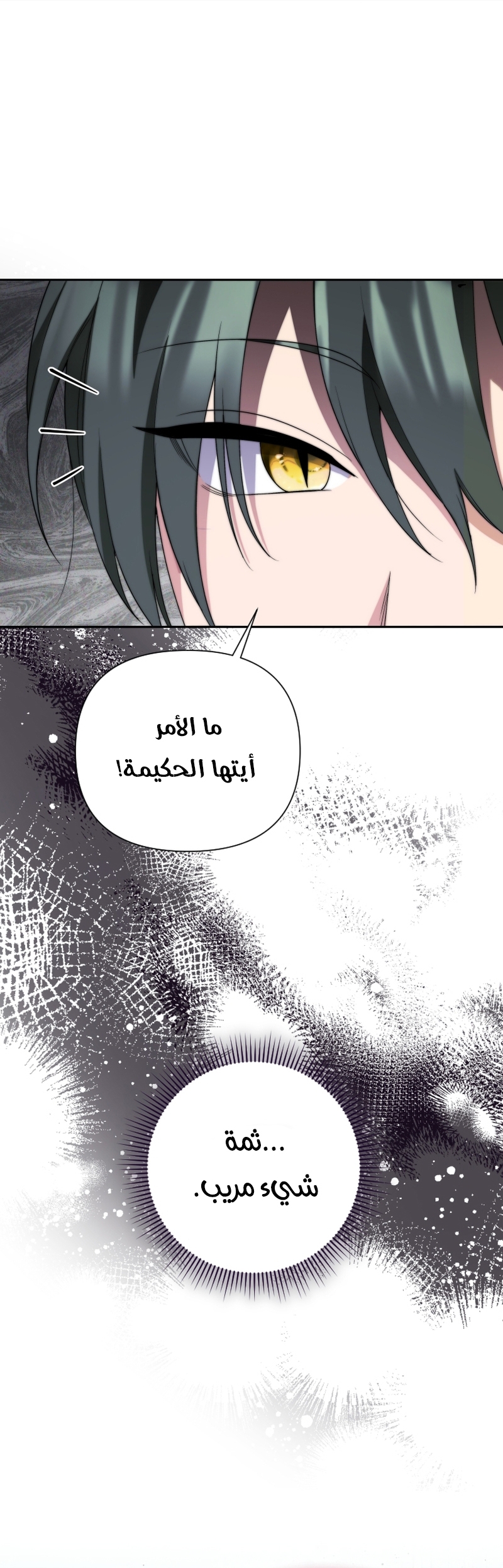 الصفحة 30