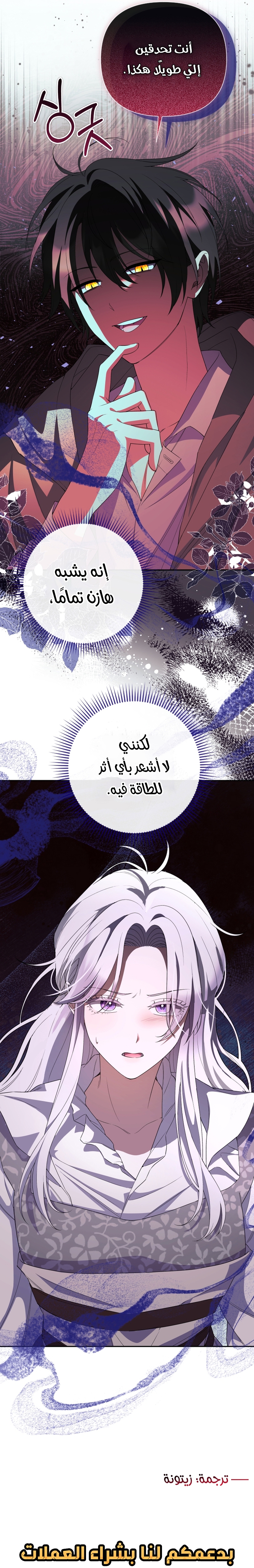 الصفحة 31