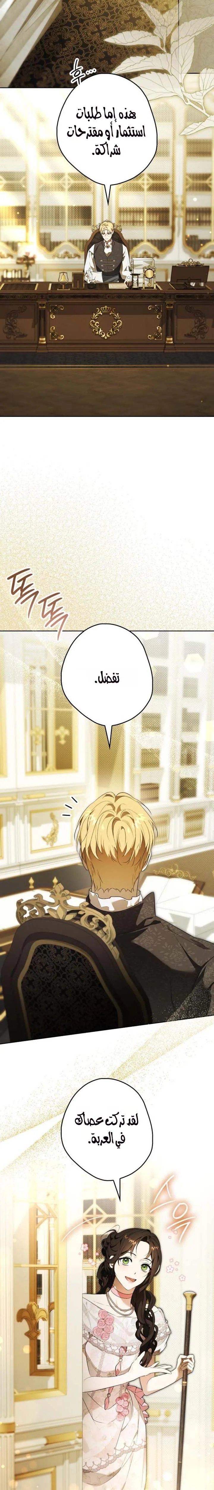 الصفحة 17