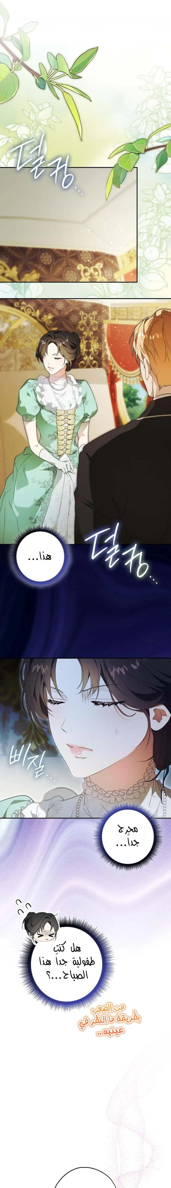 الصفحة 25
