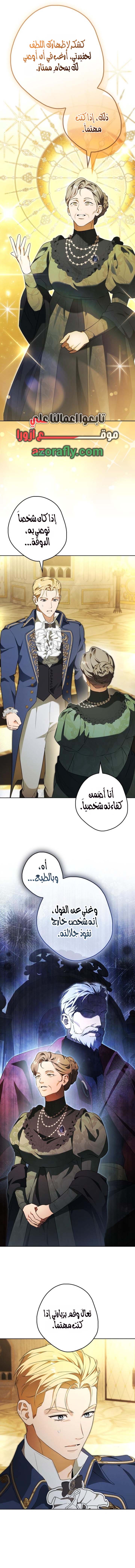 الصفحة 13