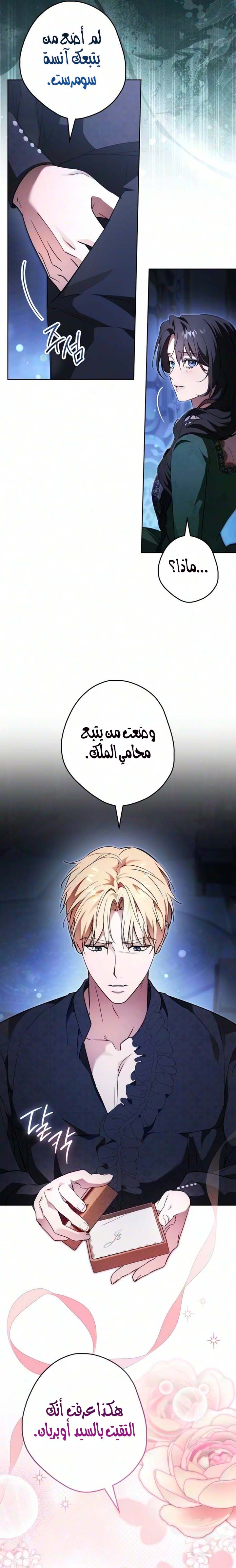 الصفحة 13