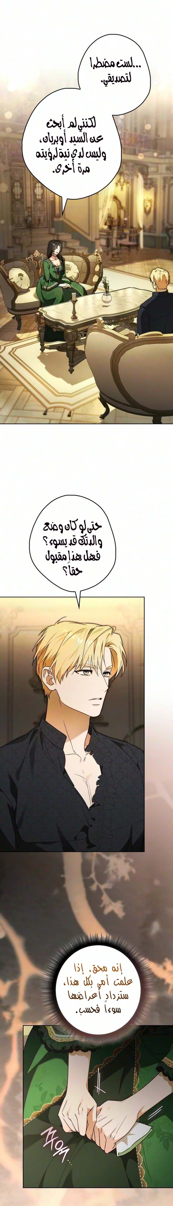 الصفحة 17