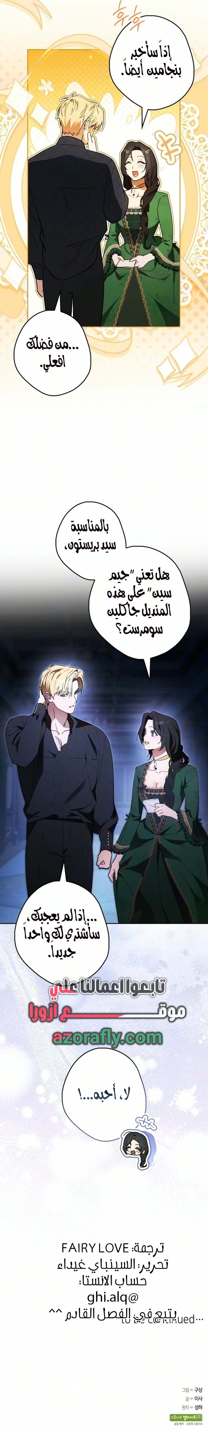 الصفحة 26