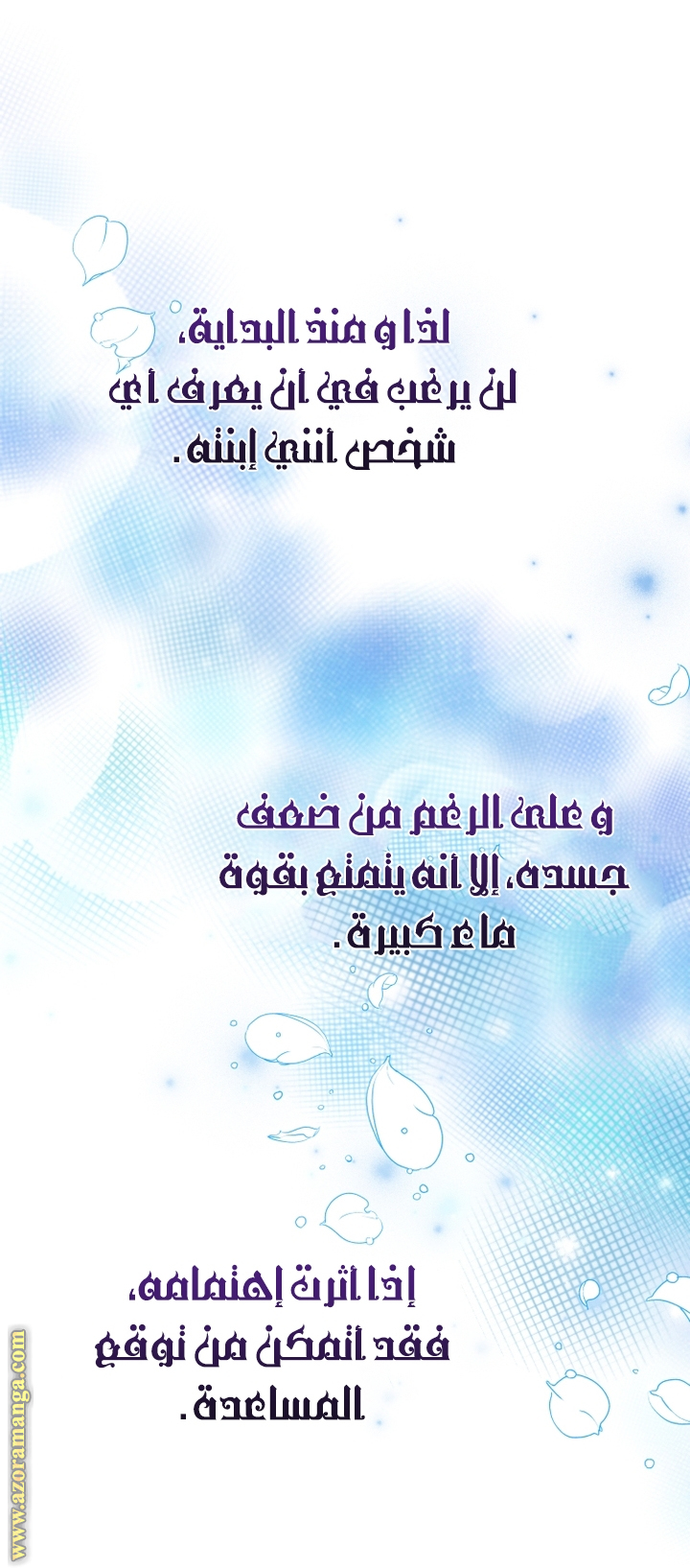 الصفحة 17
