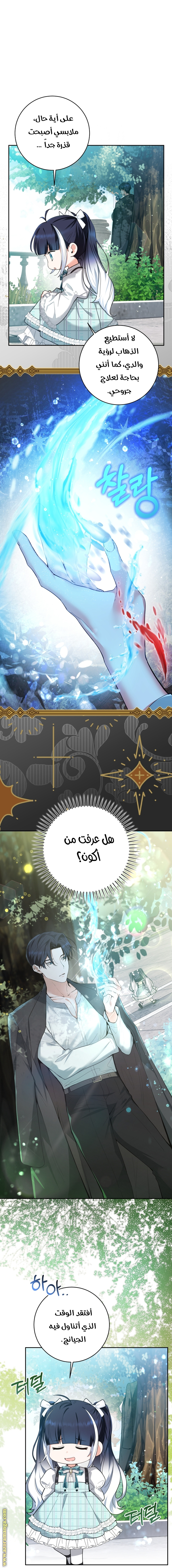 الصفحة 34