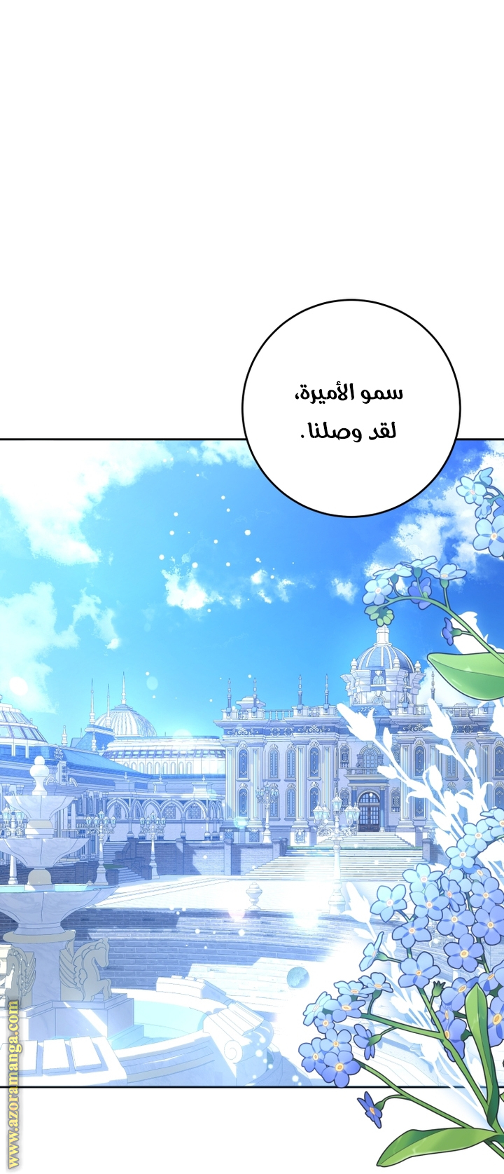 الصفحة 27