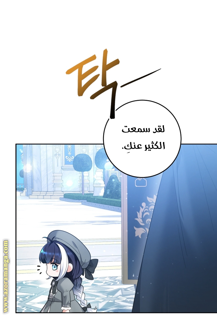 الصفحة 29