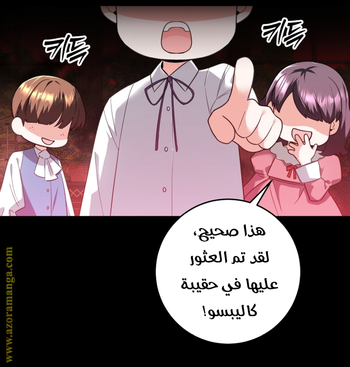 الصفحة 33