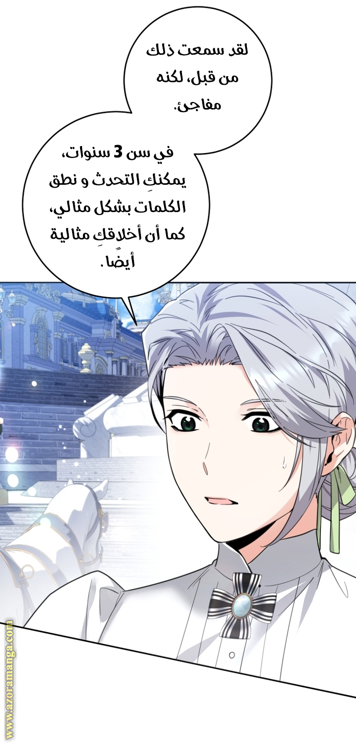 الصفحة 40