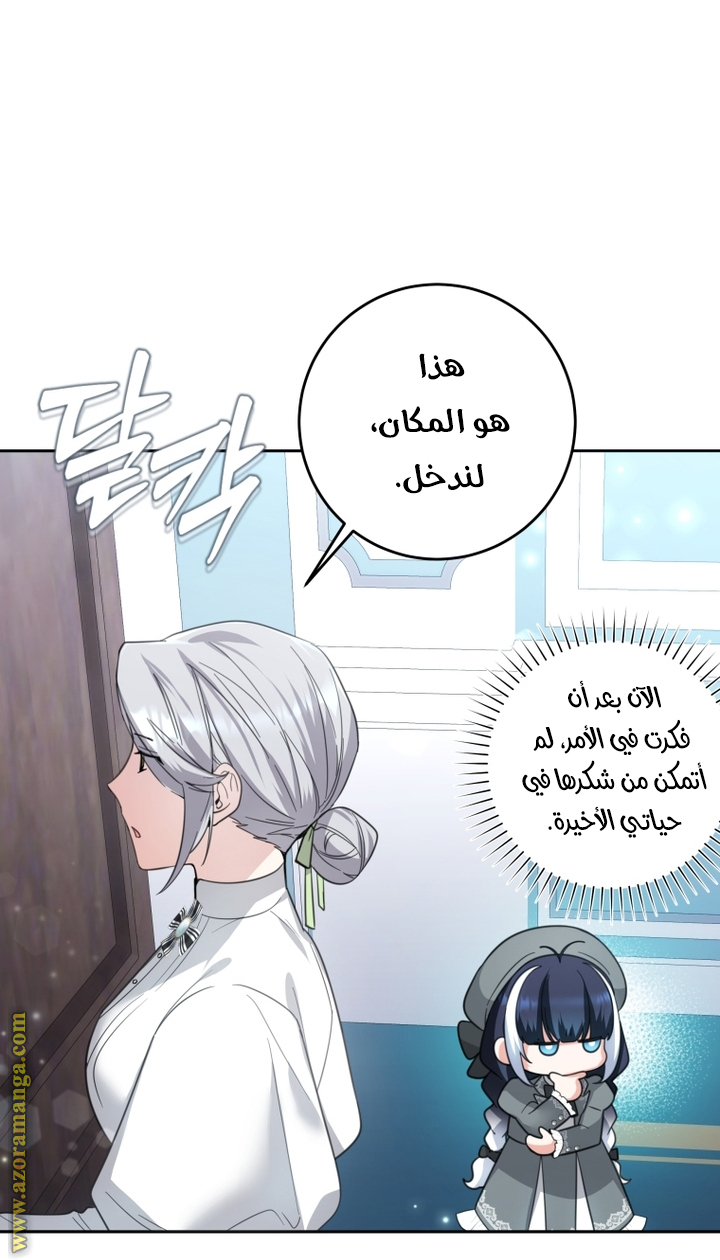 الصفحة 43
