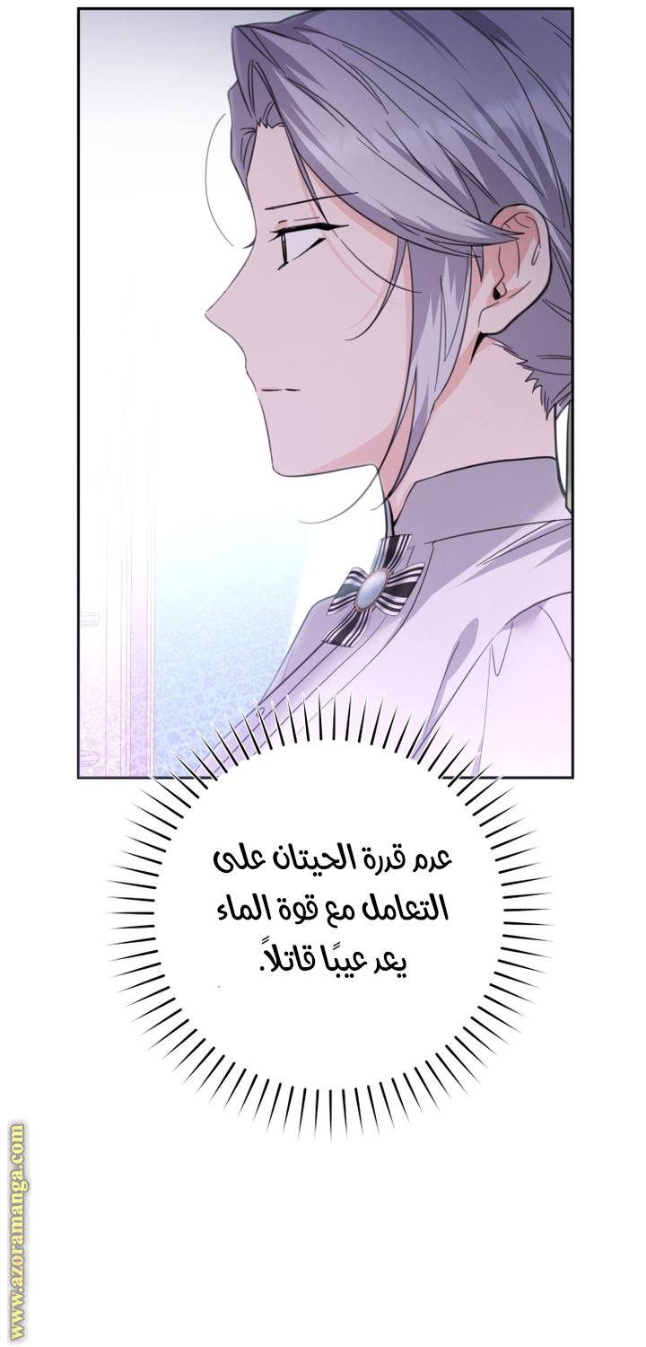 الصفحة 46