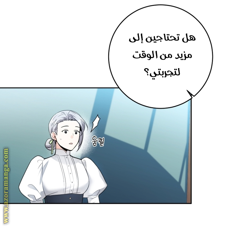 الصفحة 54